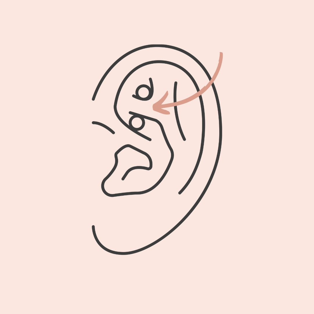 Everything you need to know about Rook Piercings