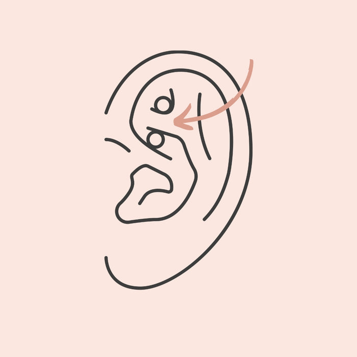 Everything you need to know about Rook Piercings