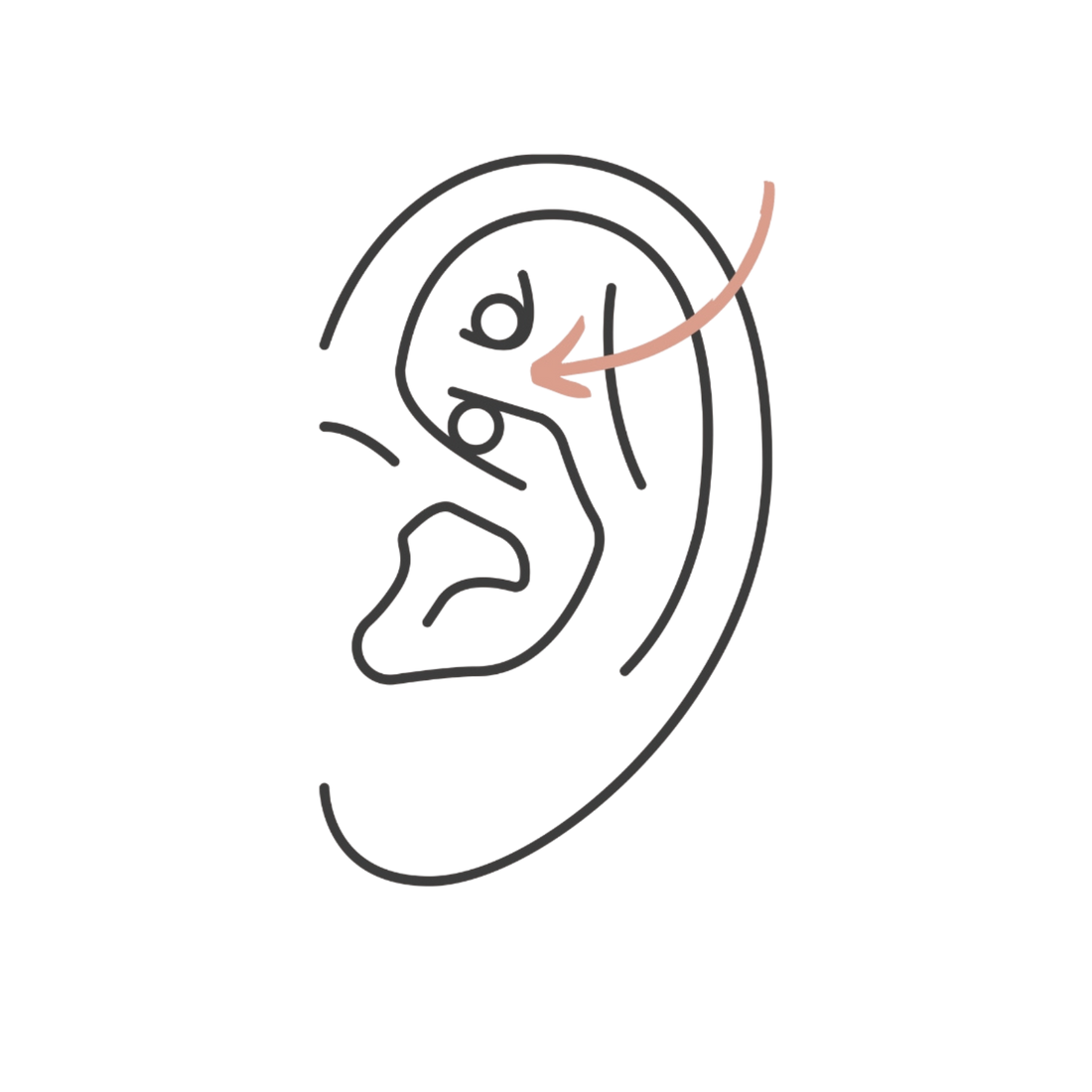 Everything you need to know about Rook Piercings