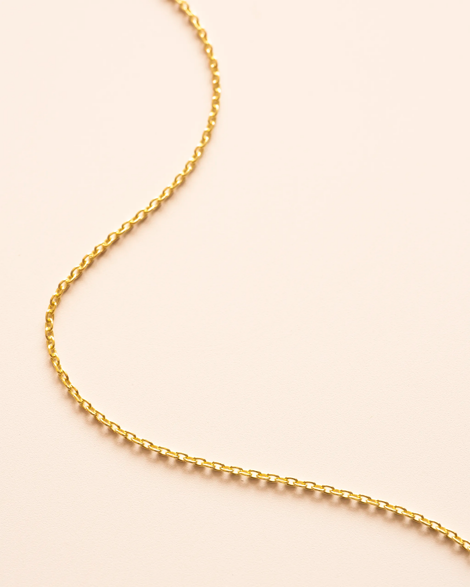 Add a Gold Trace Necklace Chain