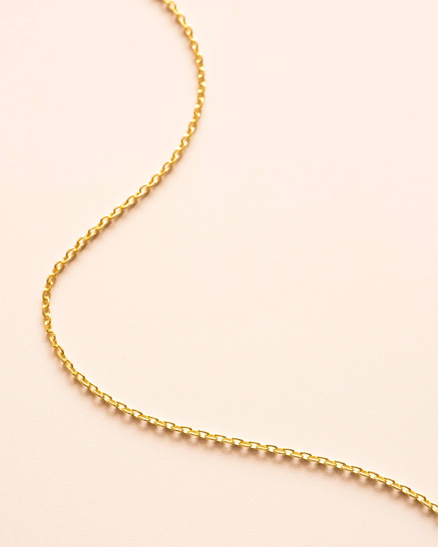 Add a Gold Trace Necklace Chain