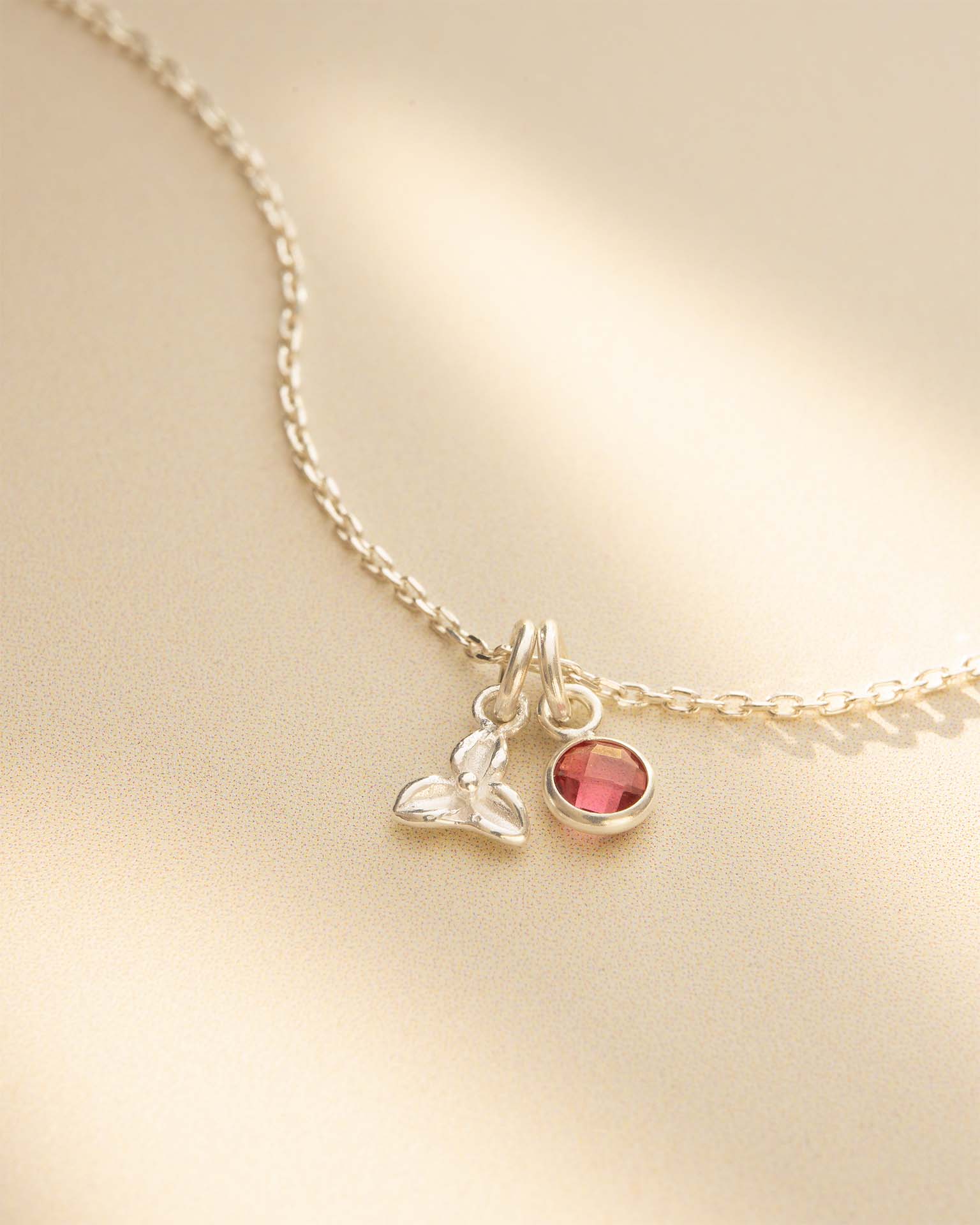 Silver Birth Flower and Birthstone Personalised Necklace