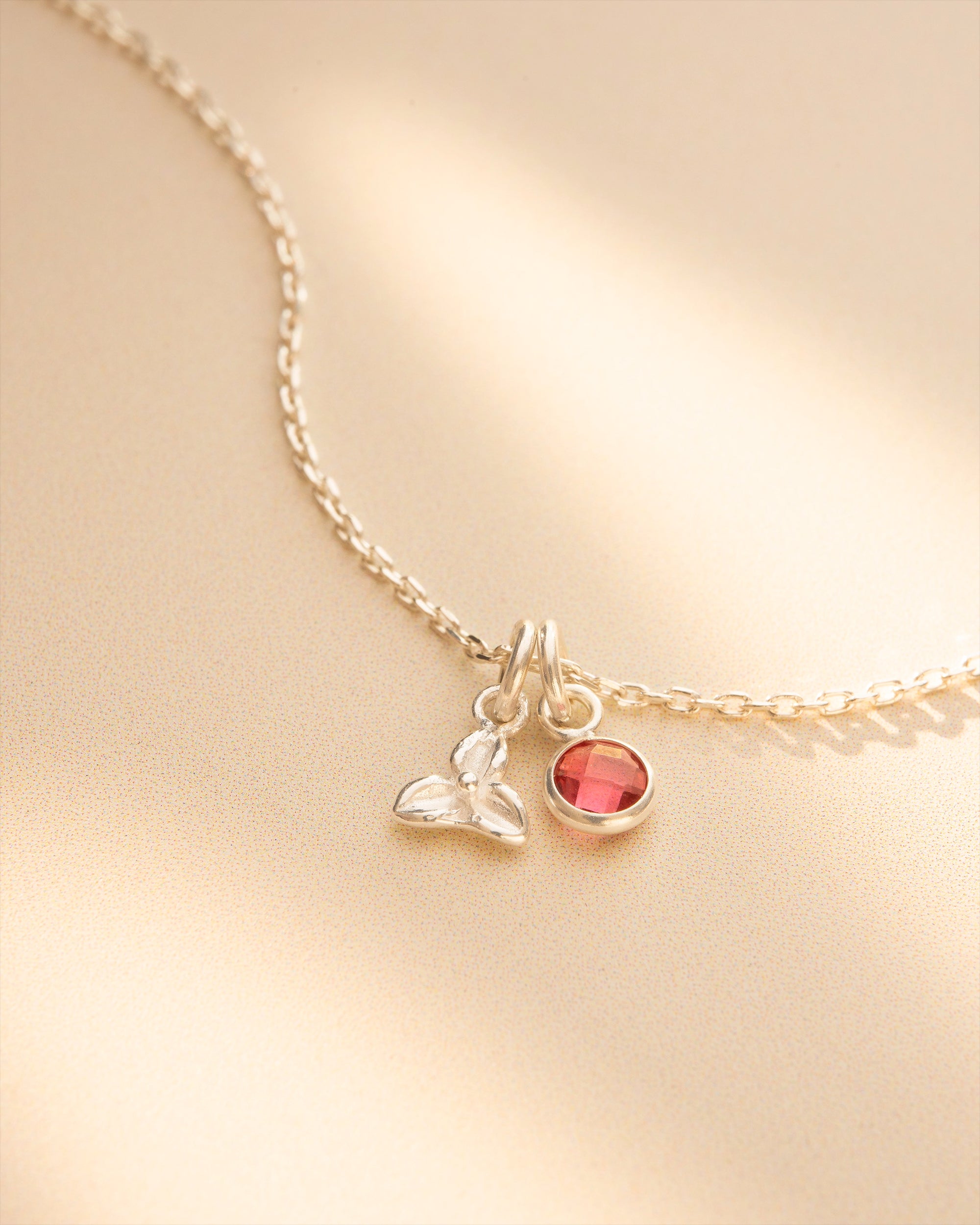 Silver Birth Flower and Birthstone Personalised Necklace