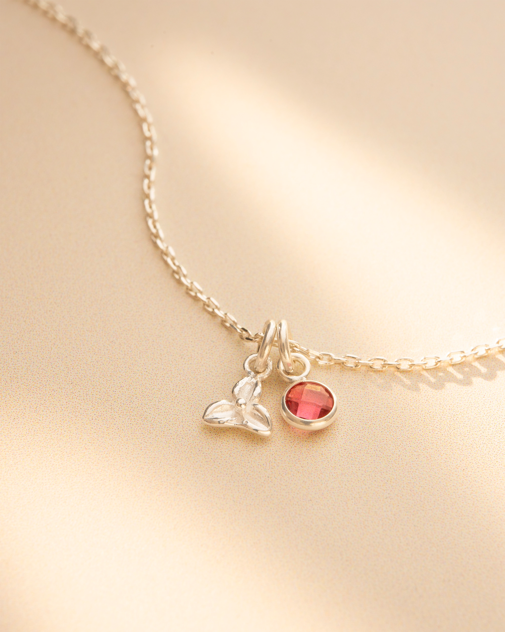 Silver Birth Flower and Birthstone Personalised Necklace