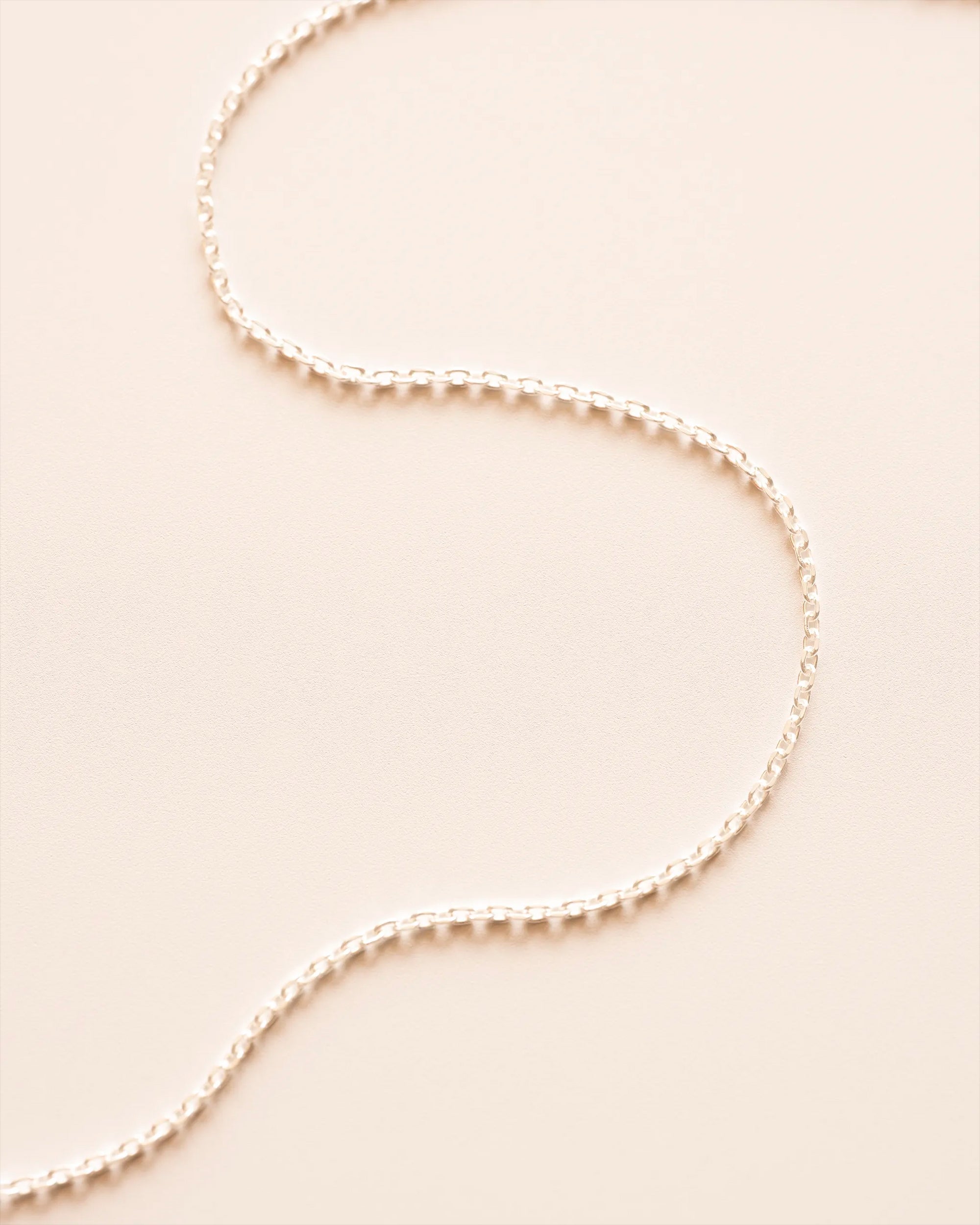 Add a Silver Trace Necklace Chain