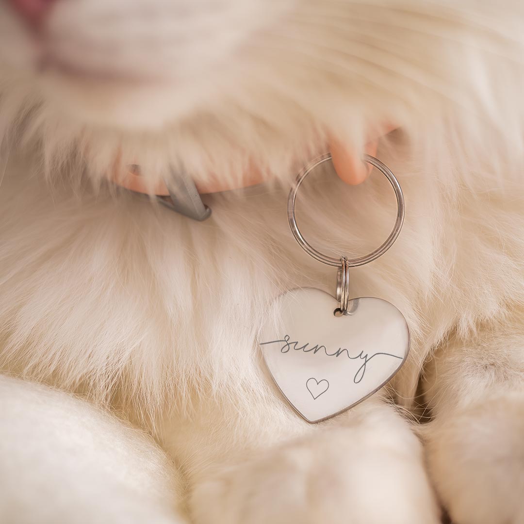 Esme Heart Personalised Pet Tag