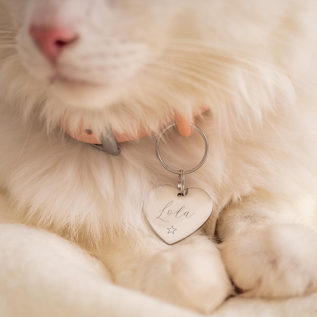 silver plated name and illustration heart pet tag